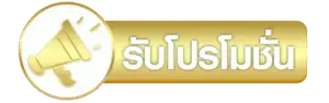 โปรโมชั่น